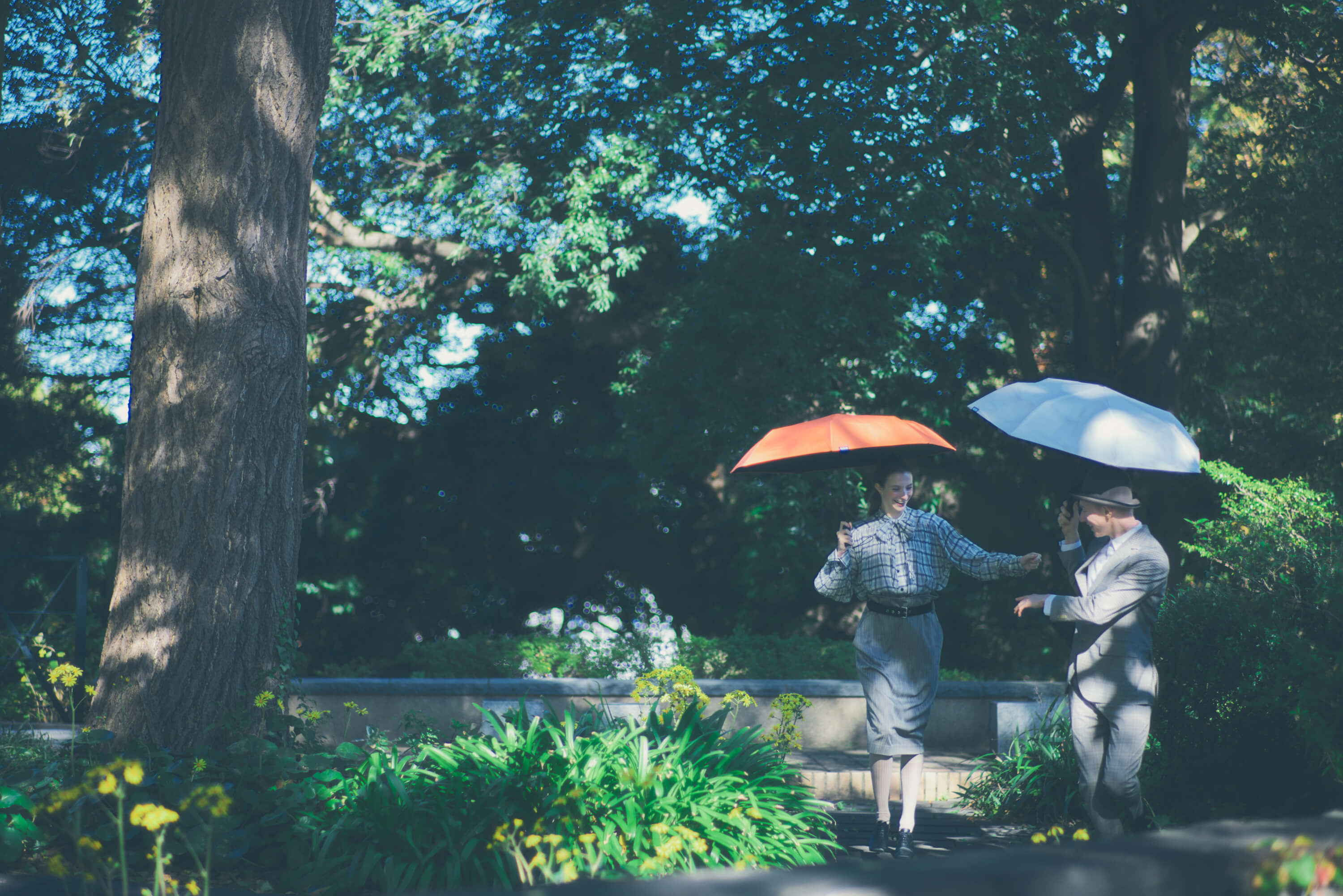 Electric Umbrella CAN